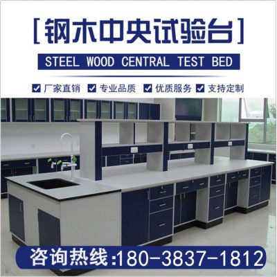 钢木中央试验台封面图1